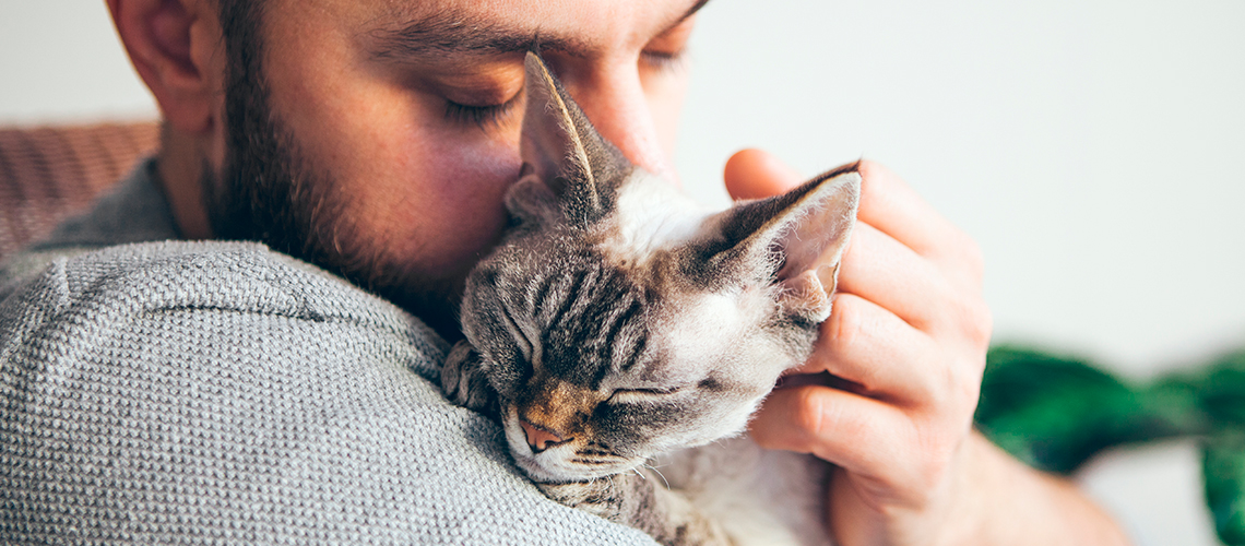 Las mascotas nos brindan acompañamiento tanto físico como emocional, ya que nos acompañan en los momentos de dolor