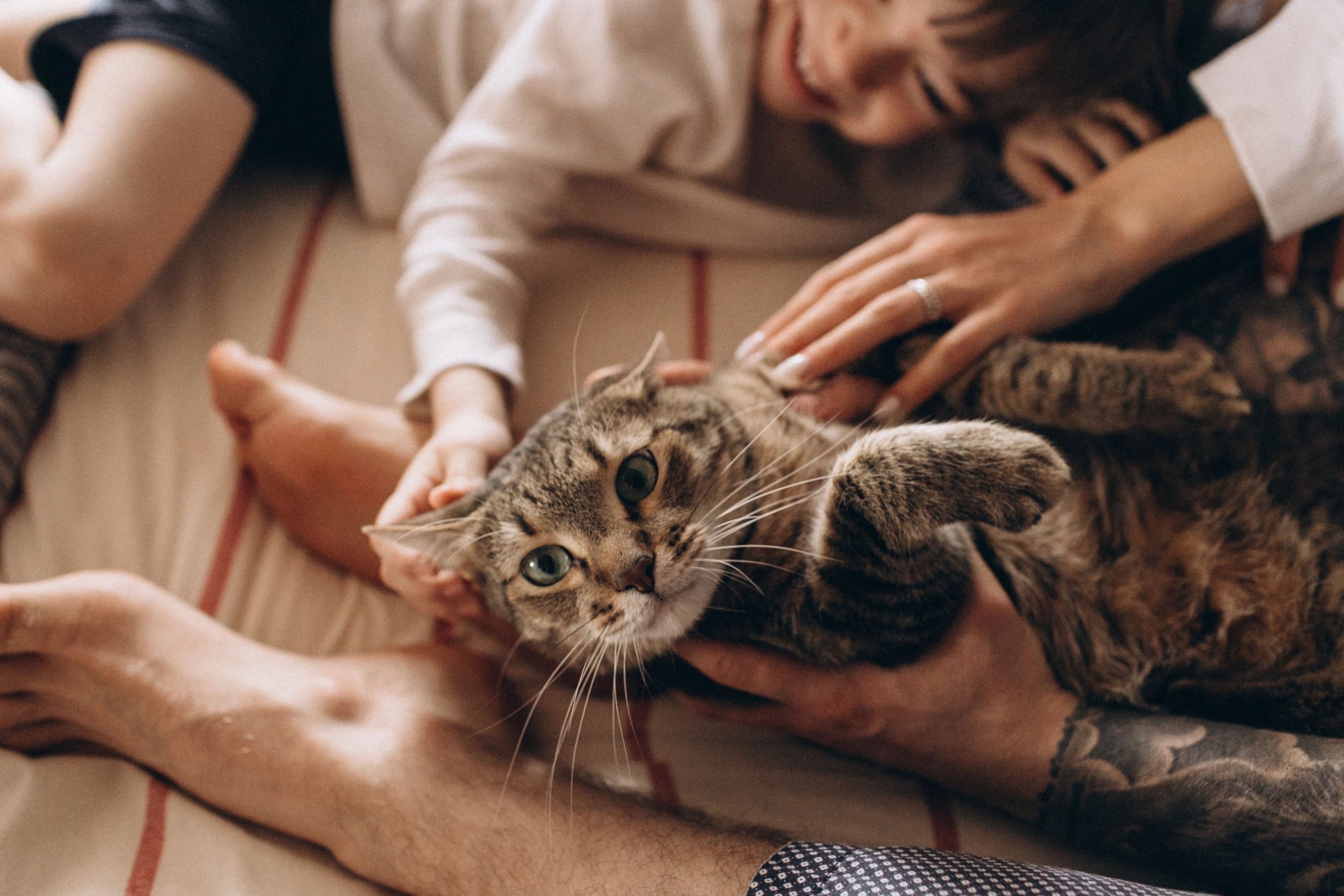 El duelo por muerte de un animal
